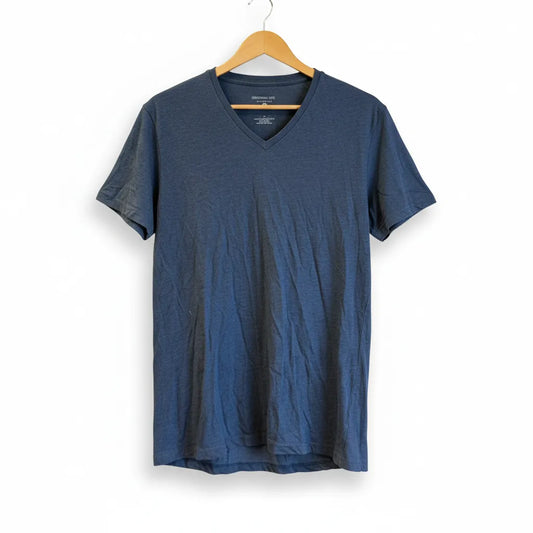 Cedarwood State blå v-ringad t-shirt